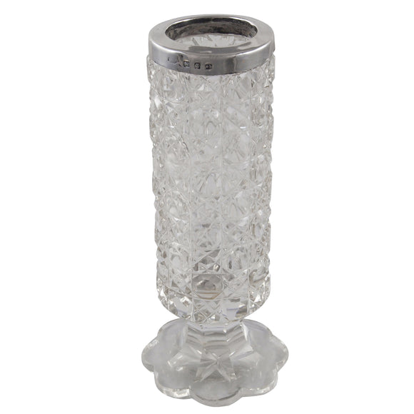 A Victorian, cut glass jar with a silver mount