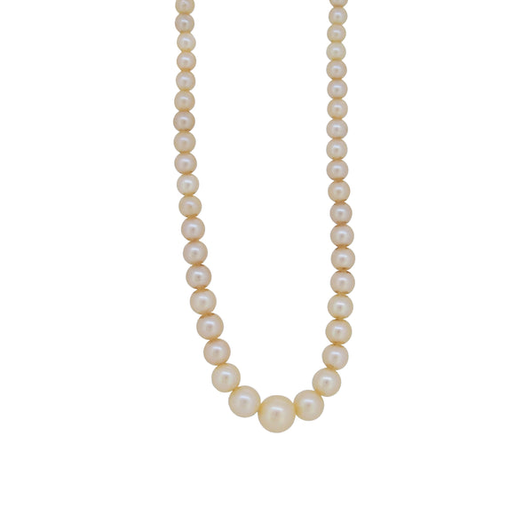 A mid 20th century, single row of graduated cultured pearls on a silver snap