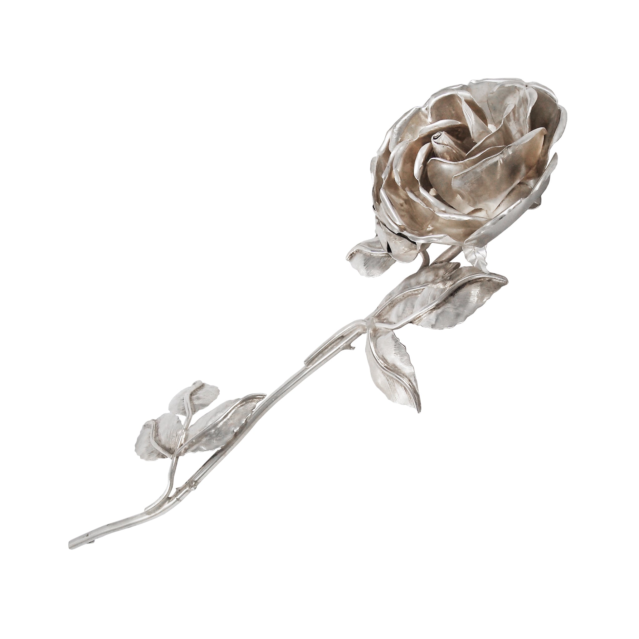 Rose Model - News - Andrew Lamputt Silversmith & Jeweller