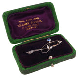 An Edwardian, rose gold & white gold, Art Nouveau style, sapphire & rose diamond set brooch & fitted case