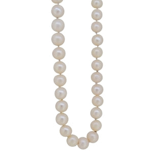 A modern, single row of cultured freshwater pearls on a silver trigger fastener