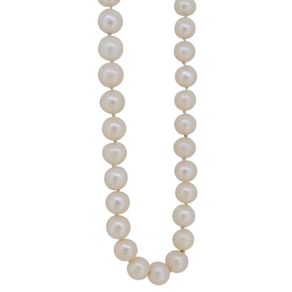 A modern, single row of cultured freshwater pearls on a silver trigger fastener