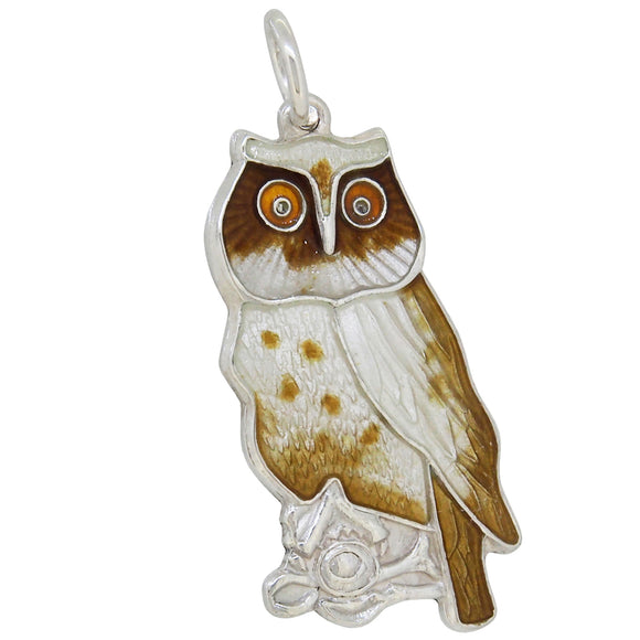 A modern, silver, enamel set owl pendant