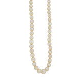 A mid-20th century, single row of graduated cultured pearls on a silver snap