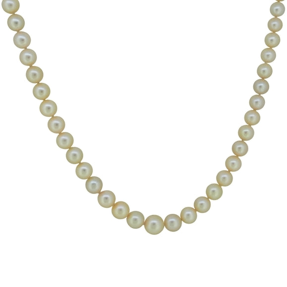 A single row of cultured pearls on a pearl snap.