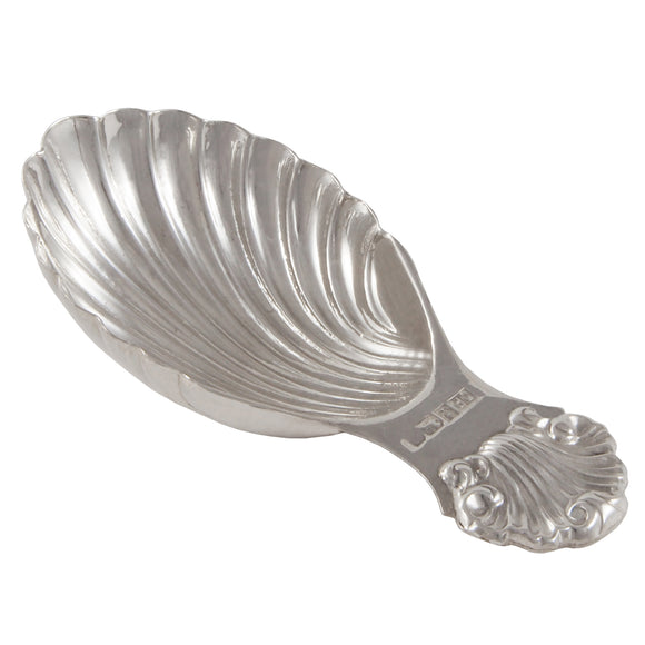 A modern, silver caddy spoon with a shell bowl