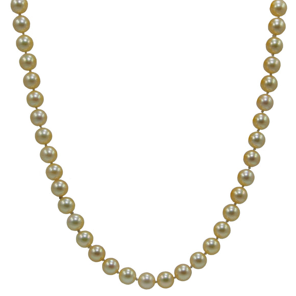 A long, continuous, single row of cultured pearls